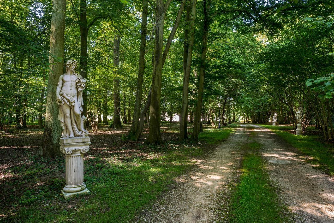 Domaine Du Bois Des Anges Bed & Breakfast Germigny-l'Eveque Exterior photo